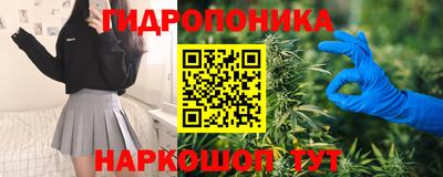 СК Заводоуковск