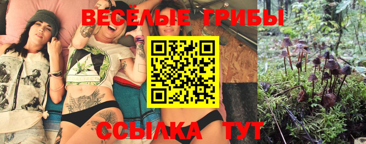 Галлюциногенные грибы Psilocybe  Вход с VPN  Сосновый Бор 